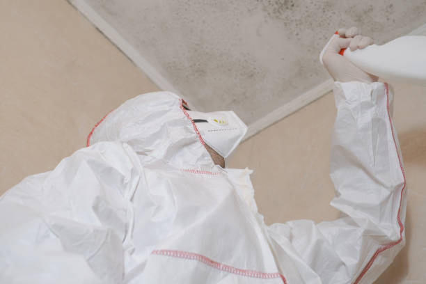 Crawl Space Mold Removal in Big Pine Key, FL